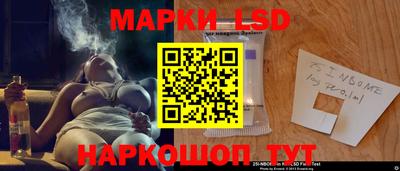 индика Будённовск