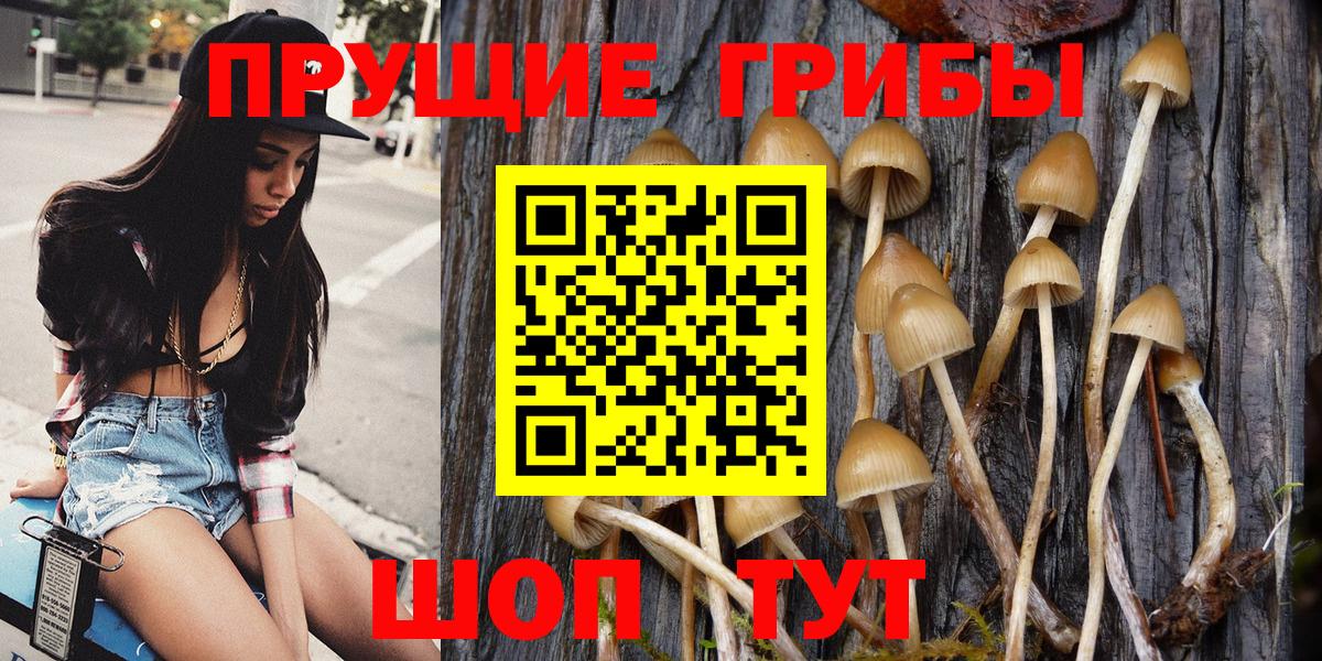 купить закладку  Галлюциногенные грибы прущие грибы  Вход с VPN  Буйнакск  Псилоцибиновые грибы прущие грибы 